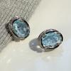 Silver Needle, Blue Crystal, Unique Design, Large Earrings for Women with High-end and High-end Feel, Niche Earrings and Earrings, New Style