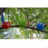 Feathered Birds, Resin Parrot Statues Landscape Animal Ornaments Crafts, Garden & Yard Decoration -