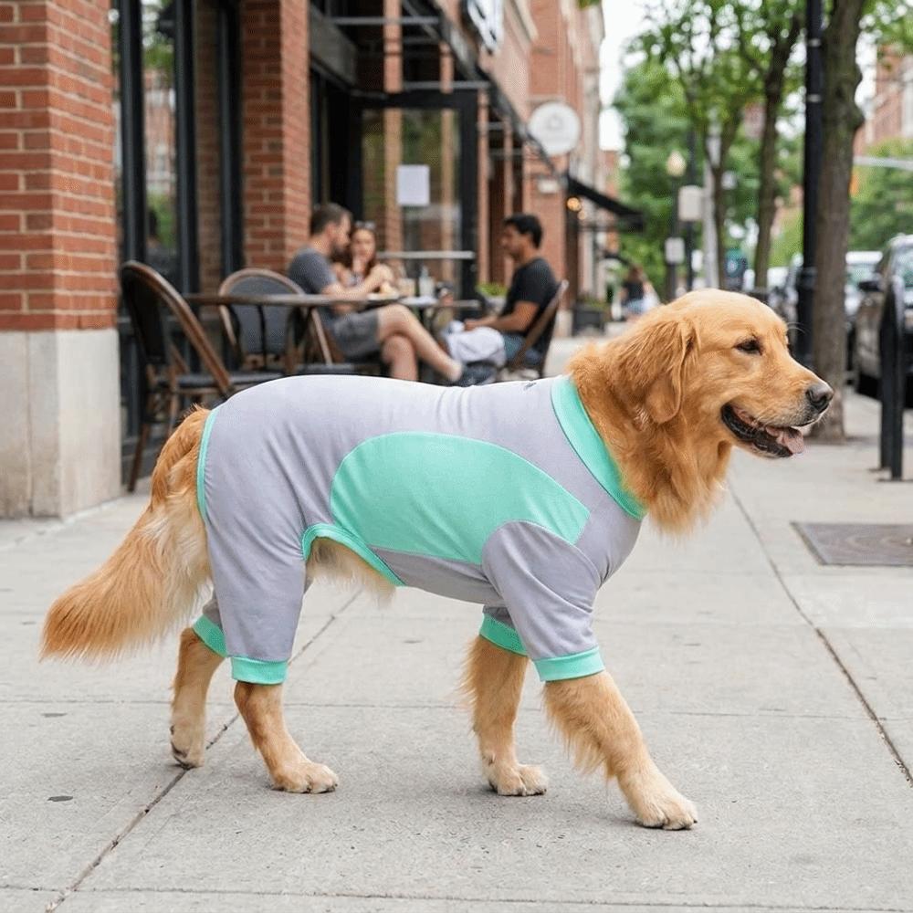 Long Sleeve Dog Jumpsuit Breathable Dog Sunscreen Suit Dog Four-legged Clothes Sun Protection