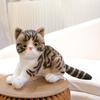 Siamese Cat Plush Toy: Early Education Comfort Gift for Children, Home Decor Ornament