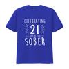 Celebrating  Years Sober Sobriety Anniversary AA Recovery T Shirt  vintage Washed Stretched fashion homme streetwear
