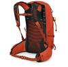 Рюкзак Osprey Talon Pro 20 silver lining