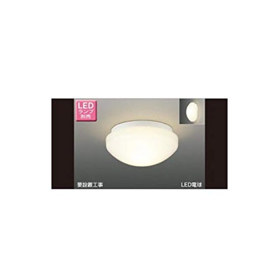 

Toshiba Lightech LED Outdoor Ceiling Light (White) (Lamp sold separately)