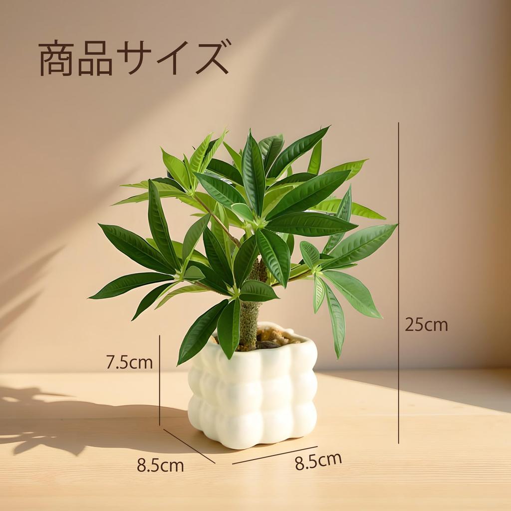Photocatalytic Artificial Green Mini Houseplant, Tropical Houseplant, Money Tree, Ceramic Square Pot, Artificial Flower, Fake Plant, with Pot, Stylish