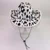 Cow tassel western cowboy hat big brim autumn and winter hat women's holiday party top hat British style