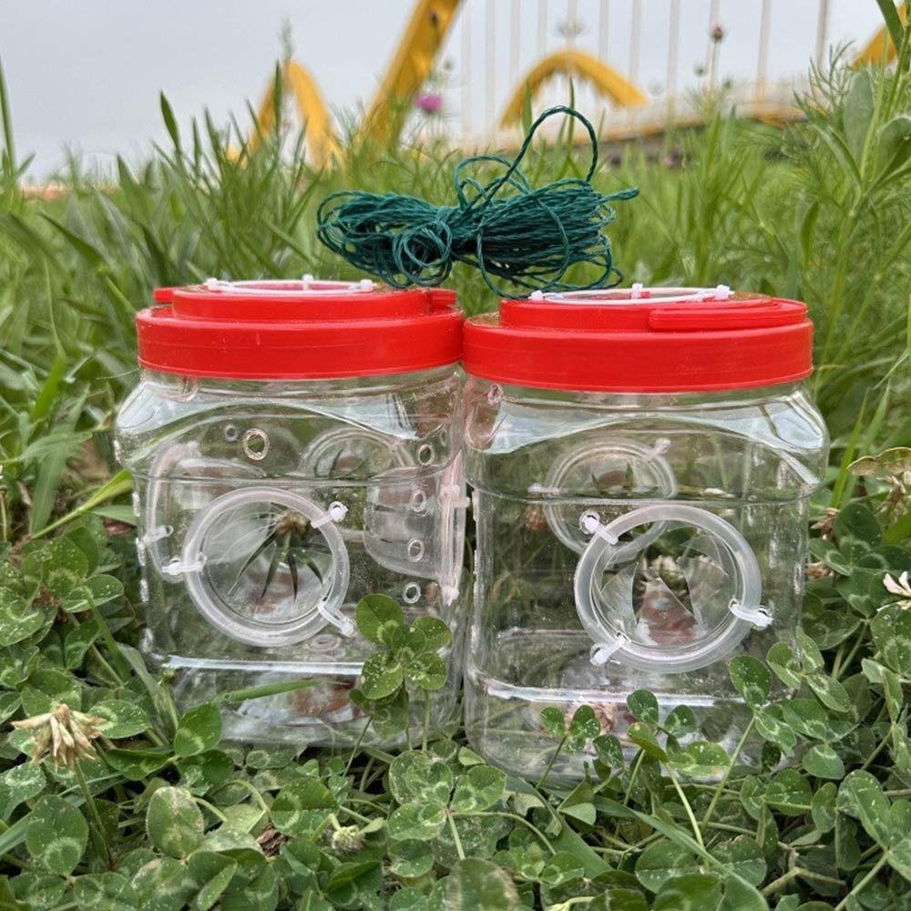 Durable Fish Net Cage Transparent Mud Cage 2025 Finless Cage  Children