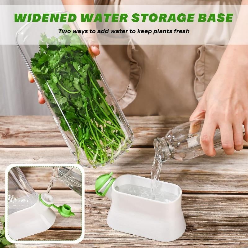 1-2Pcs Herb Keeper and Herb Saver – Glass Storage Container for Cilantro,Parsley,Mint,Asparagus,Keeps Greens Fresh for 2-3 Weeks