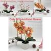 Artificial Phalaenopsis Flower Pot For Outdoor Garden Wedding Decor Photography Props And Home Decor