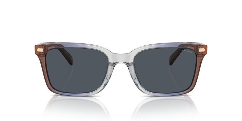 Sunglasses HC8398U CR630 PECAN BLUE GRAY GRADIENT 54 [Coach] Men's