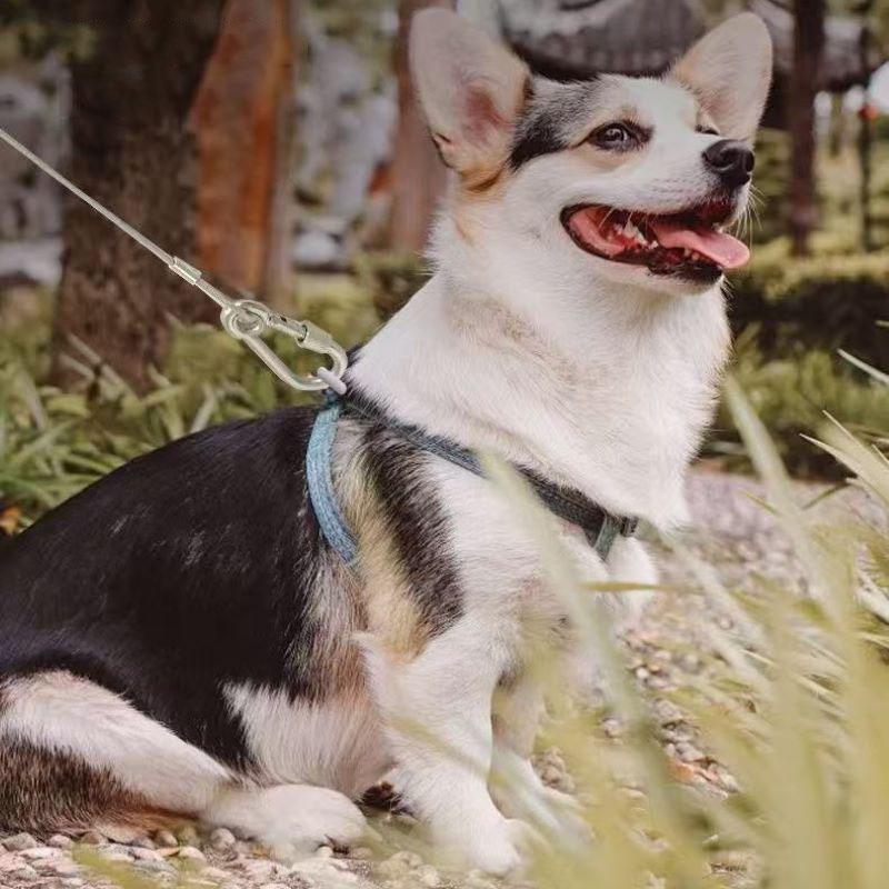 Double-Headed Dog Tie Out Cable Leash Traction Rope with Metal Buckle Steel Wire Anti-Rust Training Collar Outdoor Dogs Strap 1