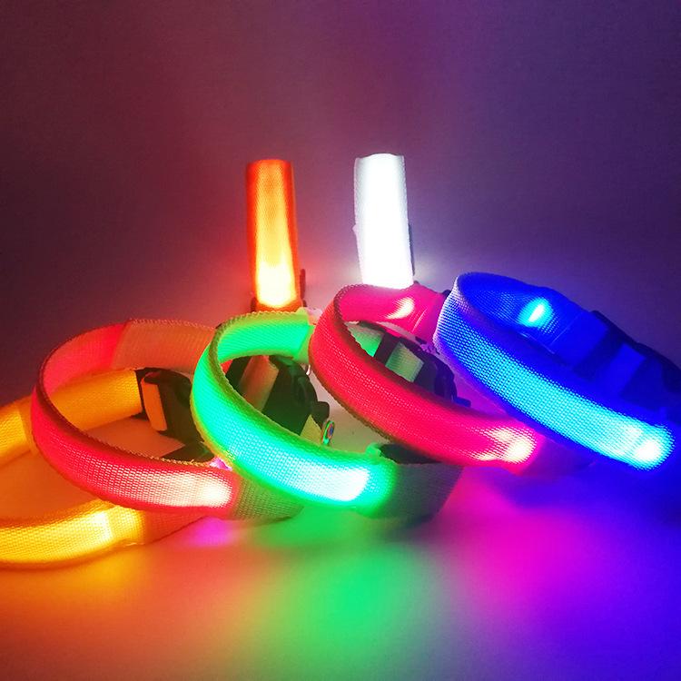 LED Pet Supplies Glow Dog Collar & Leash Set - Anti-Lost Necklace & Walking Accessory