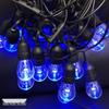 Solar Colorful LED String Lights for Garden & Christmas Decoration