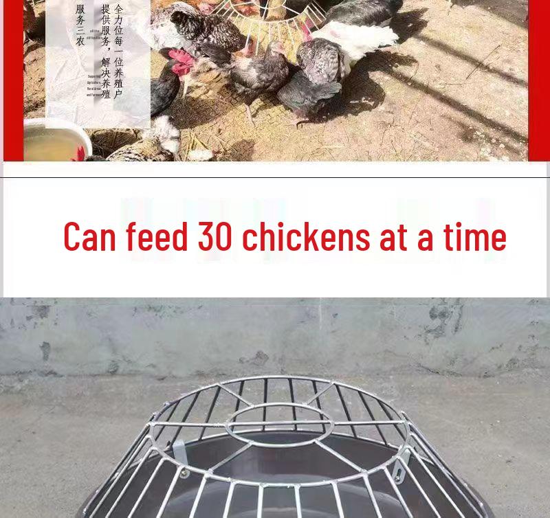 Automatic Free-Range Poultry Feeder: Chicken, Duck, Goose Trough Basin