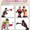 KASELIN Boxing Ball Punching Ball Martial Arts Batting Practice Lightweight
