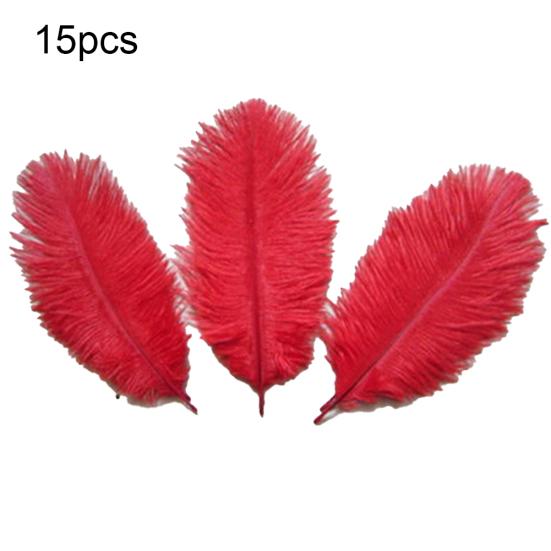 15 Pcs Natural Ostrich Feathers Colored Soft Feather for Clothes Wedding Decor