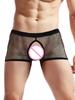 See Through Men Underpants Sexy Boxer Sheer Breathable Trunks