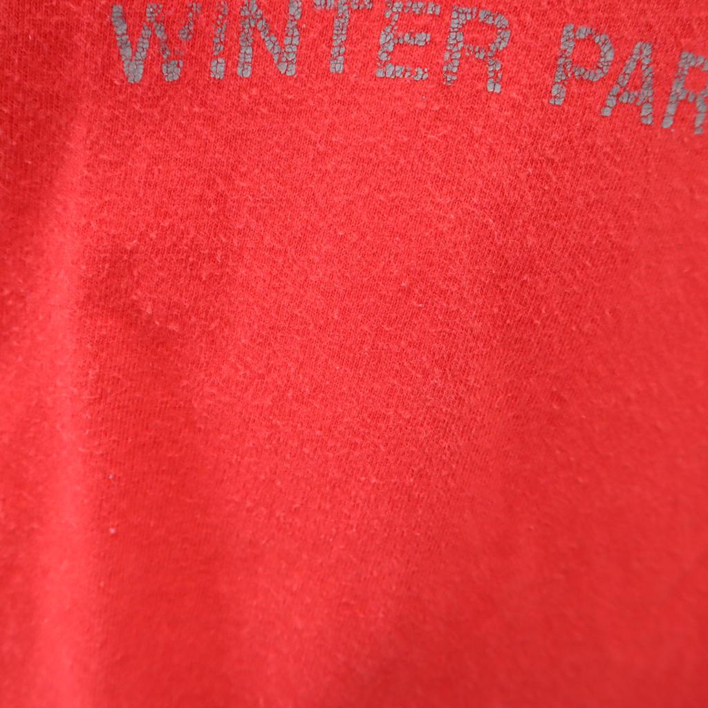 HANES 80s 90s BEEFY-T USA Made Old Long Sleeve T-shirt XL Ron T Men's Used