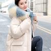 Winter Chic Down Cotton Jackets Women's Korean Style Loose Warm Coats Large Size Solid Color Hooded Short Coats