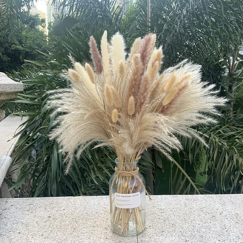 Pampas Grass Decor 110 pcs 17.5inch Natural Dried Pampas Grass-15Pcs White Pampas & 15Pcs Brown Pampas & 50Pcs Reed Grass& 30Pcs Bunny Tail 110 Pcs