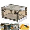 Book Storage Box Foldable Student Book Box Dormitory Book Sorting Box Transparent Household Storage Book Box