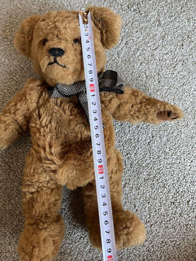 [USED] Exhausted Teddy Bear