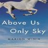 Above Us Only Sky by Marion Winik Paperback Book 9781640093089