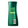 100 Years Runfa Feuchtigkeitsspendendes & Seidiges Pflegeshampoo 5er-Pack