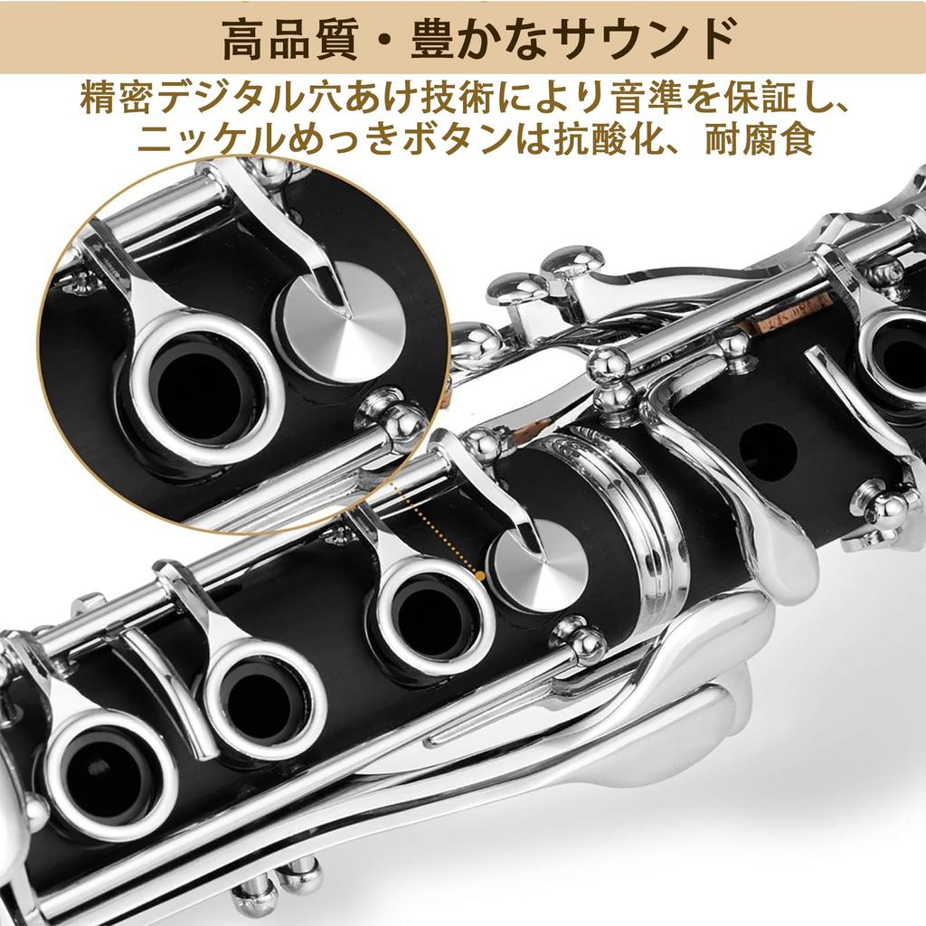 Clarinet 17 ABS Resin Wind Instrument Easy to Care B, Keys, Nickel-Plated, Body, Beginner's Set, (F-300 Performance)