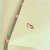 6Pcs Hidden Brass Box Hinges 8Mm Silent Smooth Operation Concealed Furniture Fittings for Small Cabinets Ring Boxes Wood Craft