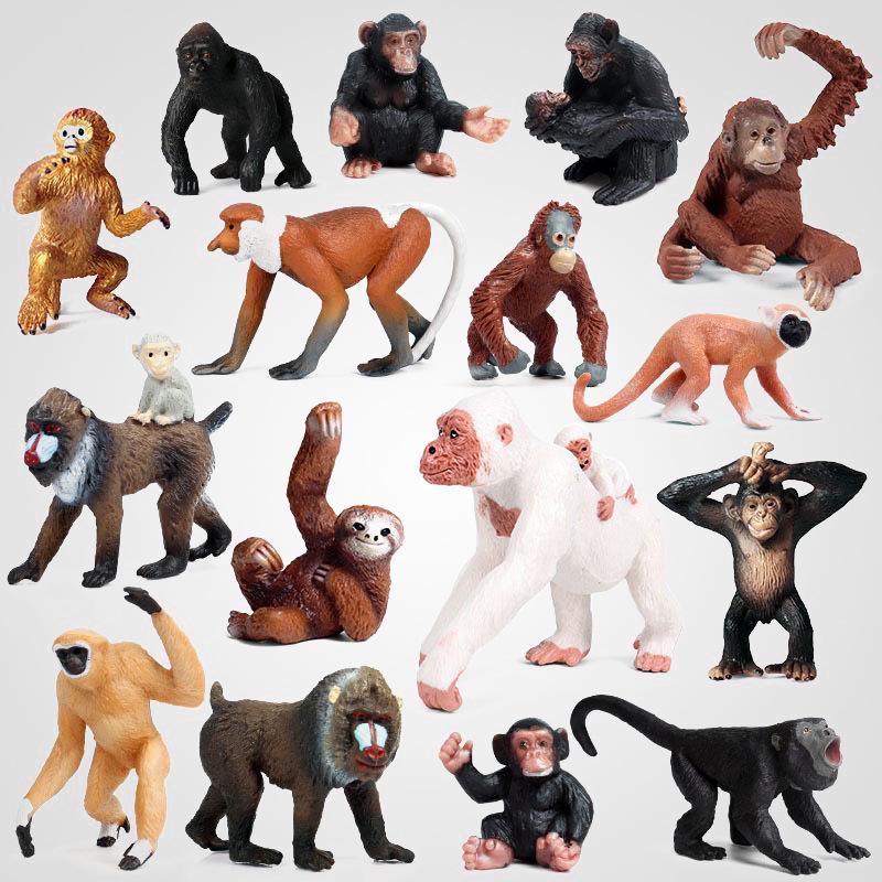 Children's Cognitive Simulation Primate Model: Gorilla & Golden Snub-nosed Monkey Wildlife Toy