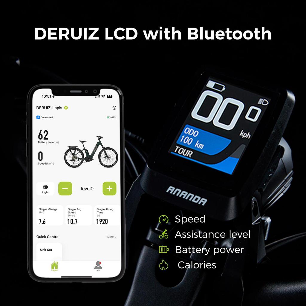 Electric Bicycle DERUlZ Lapis 27.5" E-Mountainbike with 250W 110Nm Mid-Drive Motor, 48V Battery,10 Speed ,,Max Range 161Km Load 150kg