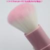 Shishida Seishindo in Slide Face Brush [Made Japan] (US-04)