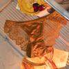 Luxury Satin Lace Panties Women Metal Hollow Out Transparent Mesh Seductive Triangle Underwear Comfort Fit Elegant Design