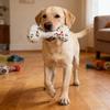 1Pcs Non Squeak Interactive Puppy Toy Bite Resistant Solid Dog Ball Toys High Elasticity E-Tpu Pet Chew Ball Toy