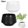 Decorative Cachepot For Orchids Cachepot Airflow Flower Pot 360 Ventilation Holes Dual-Layer Design Enhanced Air Circulation