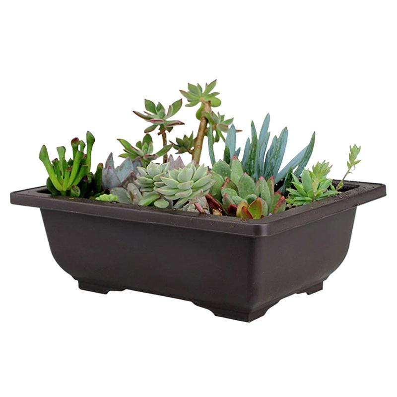 

Container Flower Pot Holder Living Room Nursery Plastic Rectangle Reusable Saucer Antique Balcony Bonsai Garden