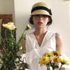 Grass Woven Shading Cap Bow Shaped Sun Hat Elegant Duckbill Hat  Summer