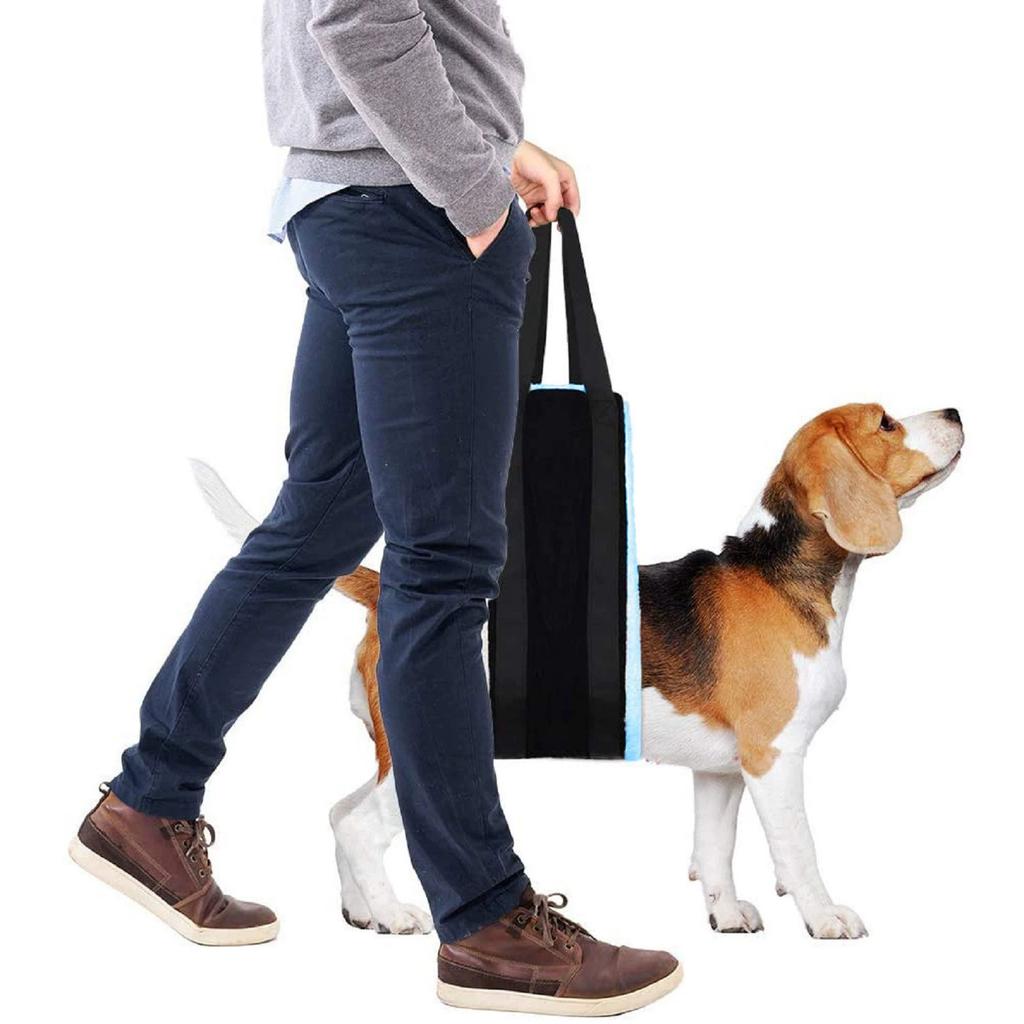 Dog Assistive Lift , Pet Support & Recovery Strap, Postoperative Walking Aid for Elderly Dogs, Adjustable Safety Belt for Mobility Support