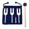 Dreld Angel Tuning Fork Set (4096Hz, 4160 Hz, 4225 Hz) with Silicone Hammer and Soft Storage Bag, Silver