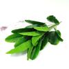 82cm Artificial Plant Banana Leaf Bunch Decoration Home Living Room Wedding Hotel Corridor Green Plant Garden Decor Fake Plant
