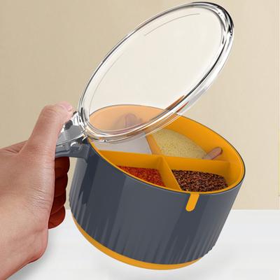 Scatola per condimenti in plastica con 4 griglie, contenitore per sale durevole integrato, organizer da cucina salvaspazio sul controsoffitto