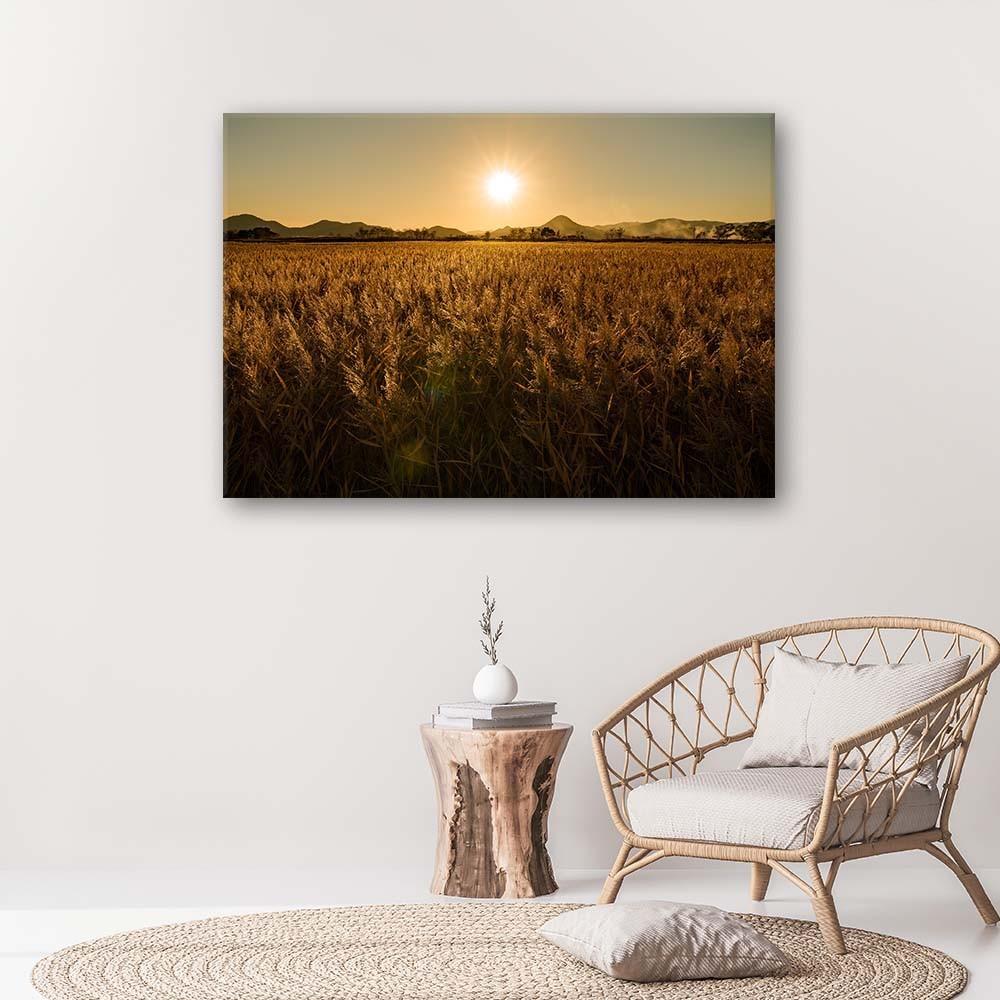 Canvas print, Field of maize