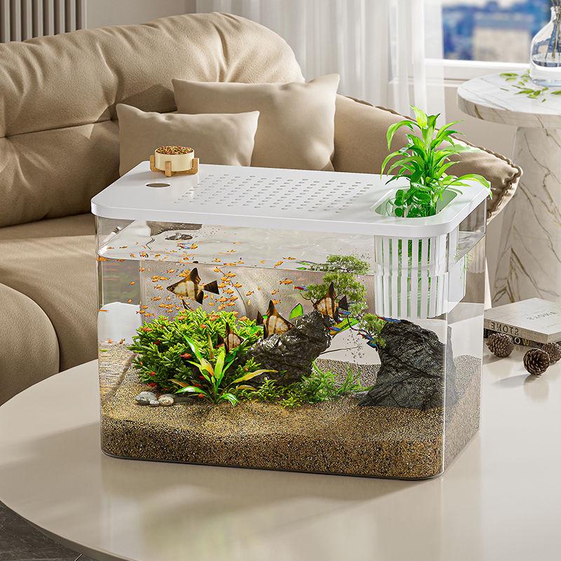 Transparent Plastic Desktop Aquarium: Small Ecological Fish Tank for Goldfish, Ideal for Living Room or Table Landscaping