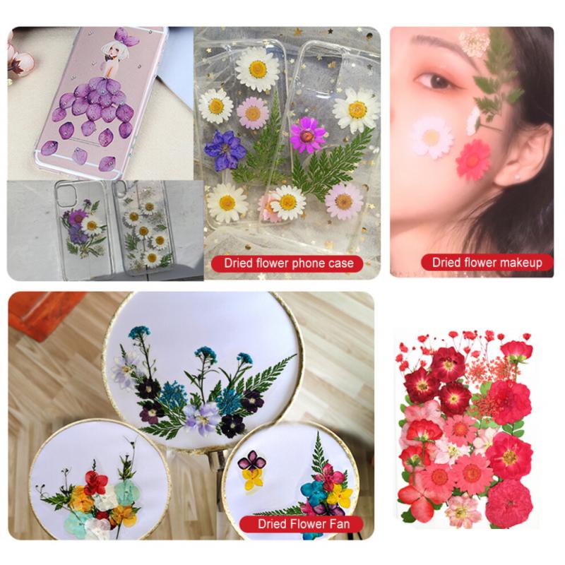Trockenblumen Set, Echte Blumen Aufkleber, Gepresste Musteretiketten