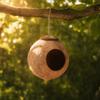 Coconut Shell Coconut Shell Birdhouse Round Entrance 6cm Sanded Finish Pet Hideaway Enclosed Design 12cm Shell Diameter