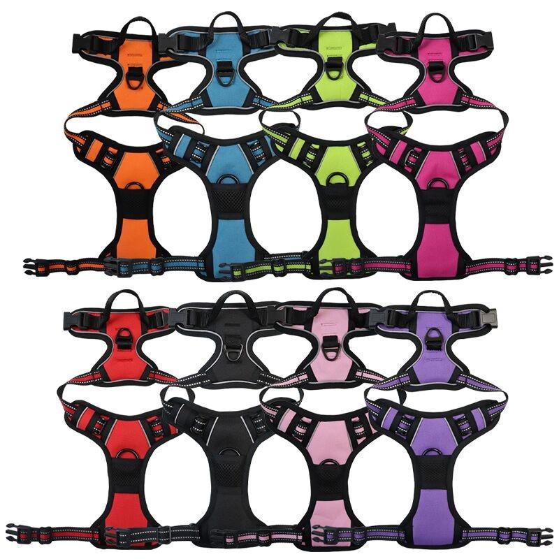 Dog Nylon Chest Harness and Leash for Large Pets