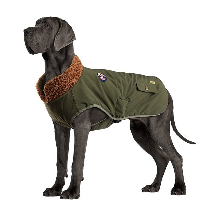 Manteau pour chien - IREENUO - JX-DE-DOG FLIGHT SUIT-3XL - Imperméable - Col en fourrure - Taille 3XL