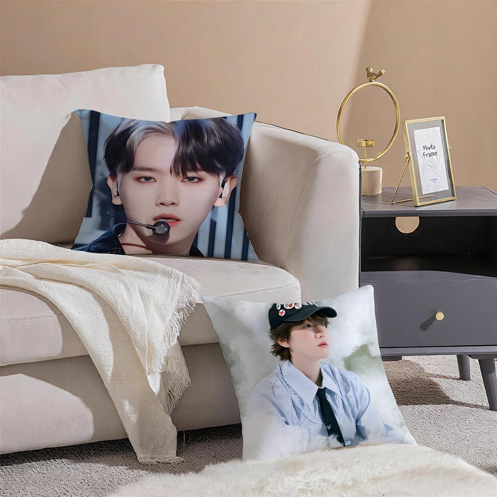 Classic Korean Handsome Singer BByun Baekhyun Cushion Cover Throw Pillow Cover Hidden Button Durable Polyester Chair Cushion