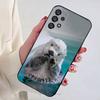 Sea Otters Animals Cute Phone Case for Samsung Galaxy A73,23,53,33,14,24,13,72,22,52,32,54,A34 Soft Cover