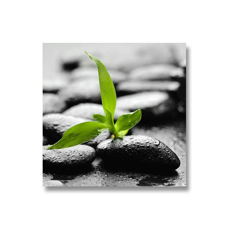 

Черный Дзен Камень Холст Картина Настенная Живопись Зеленые Листья Настенные Картины Водные Спа Плакаты и Принты для Гостиной Домашний Декор 50x50cm (20x20 inch)